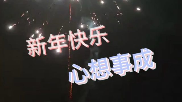新年快乐  龙行龘龘  心想事成