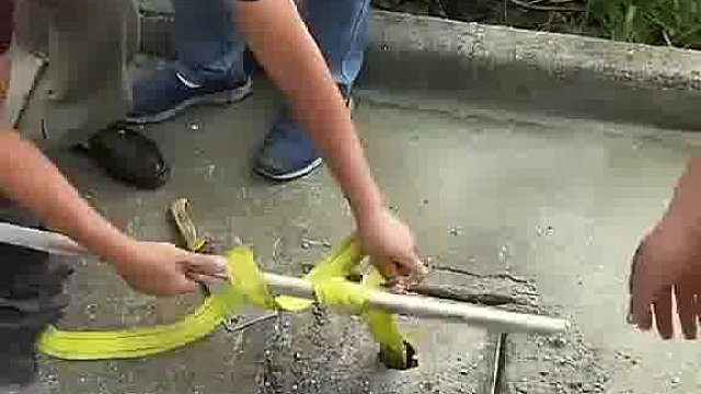 好心人还是很多的，这条狗狗很幸运。。