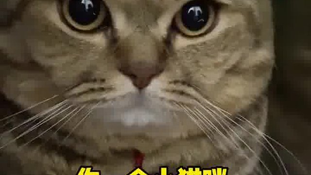 嫉妒使人面目全非