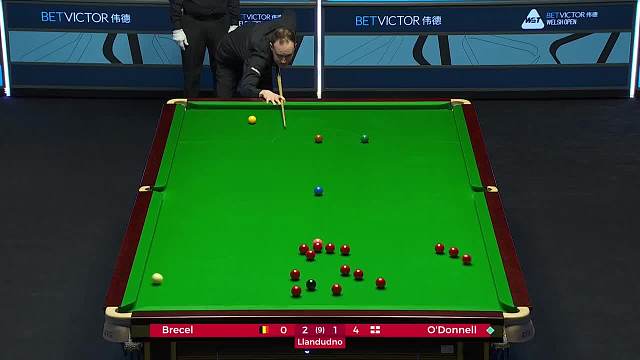 马丁·奥唐奈 vs 卢卡·布雷切尔 2024威尔士公开赛 清流