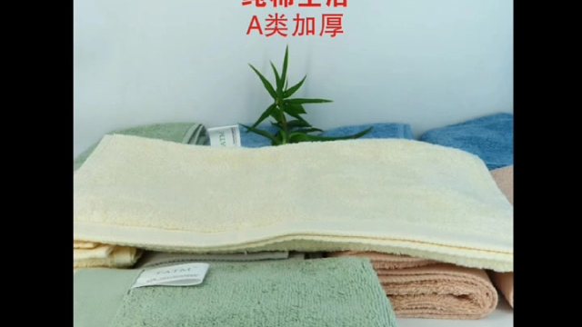 TATM纯棉毛巾100%全棉 吸水不掉毛专用男款儿童可以洗脸素色速干
