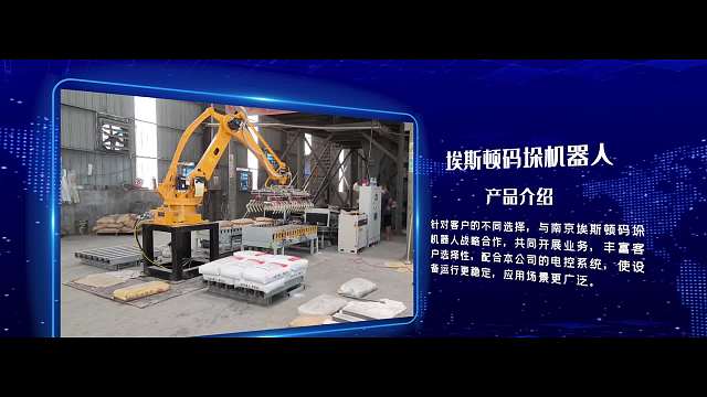 山东本森包装机 码垛机 缠绕机生产定制供应商