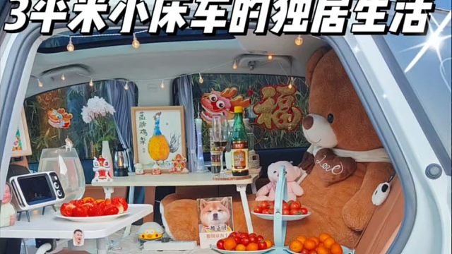 3平米小床车的独居生活，一天都是怎么度过的？