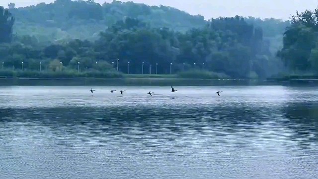 拿什么来拯救05