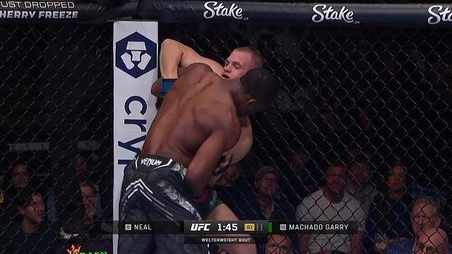 UFC298 杰夫·尼尔 VS 伊恩·加里 清流