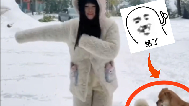 一时间分不清哪个是主角了…