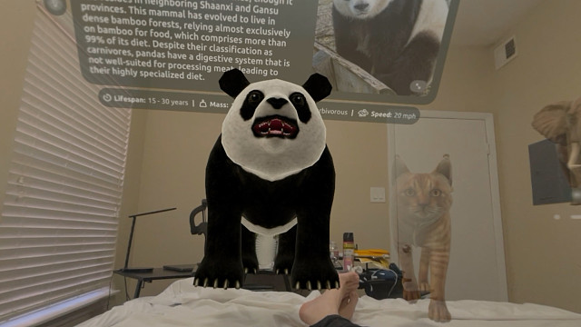 Vision Pro彻底颠覆动物园！大熊猫就在我家床上！