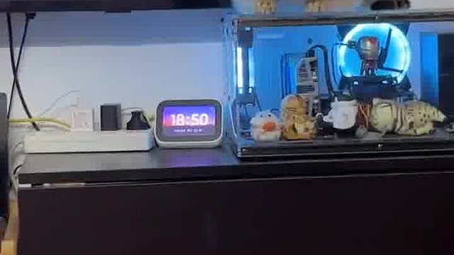 小猫咪是要变异了吗