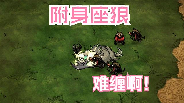 饥荒附身座狼，月后新三王里面最难缠的，虽然很弱，但是很烦