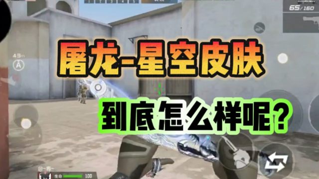 屠龙星空皮肤怎么样呢？