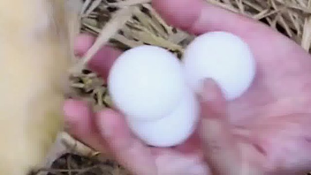 别让梦想只停留在幻想中，勇敢地追逐，去超越它们。