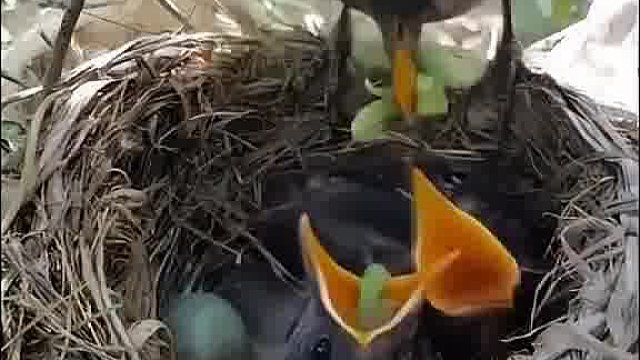 被全网发现的“偏心”妈妈