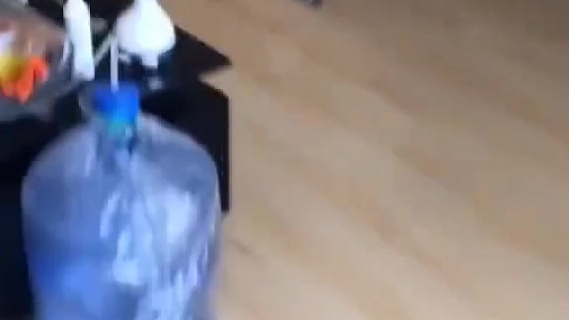 养猫又养鼠，不是脑抽就是虎~！