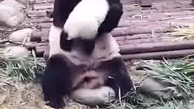 一个淘气的宝宝被打屁屁了。