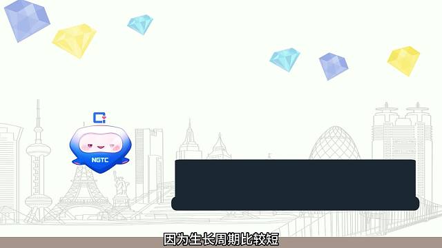 实验室培育钻石的一生第三集