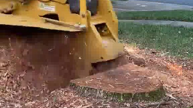 这个处理也挺不错