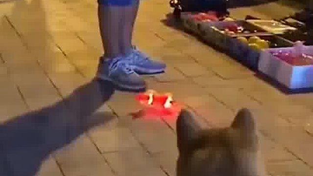 终于明白为什么有些大人经过玩具店要捂着孩子的眼睛