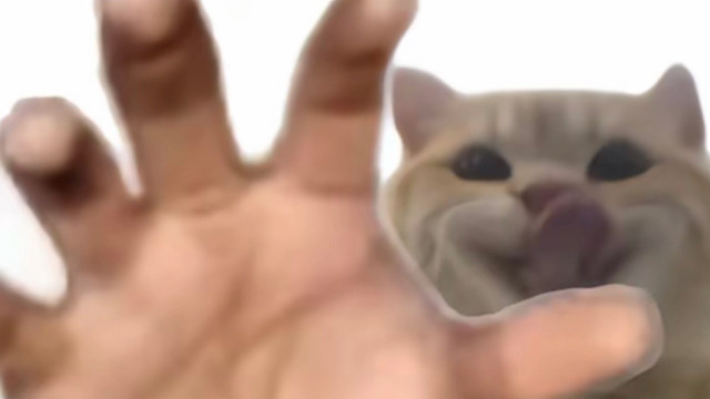 “优菈暴力浮空连击11秒”