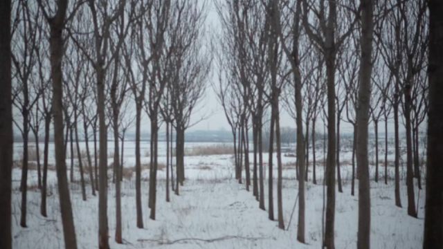 这儿一切都很好