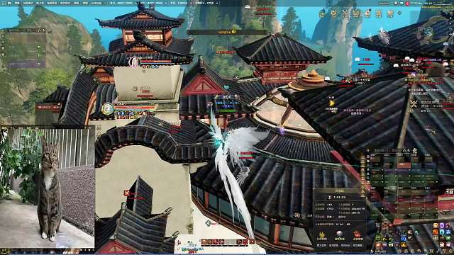 2月24领地战炎天视觉1