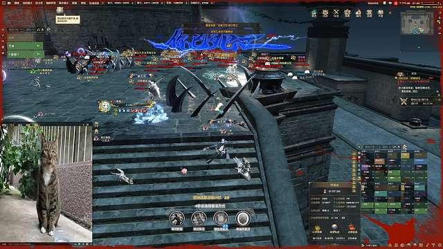 2月24日领地战炎天视觉2