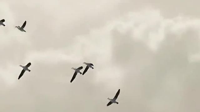 没点艺术细胞真刷不到