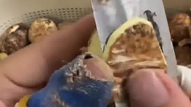 板栗就得吃削好的