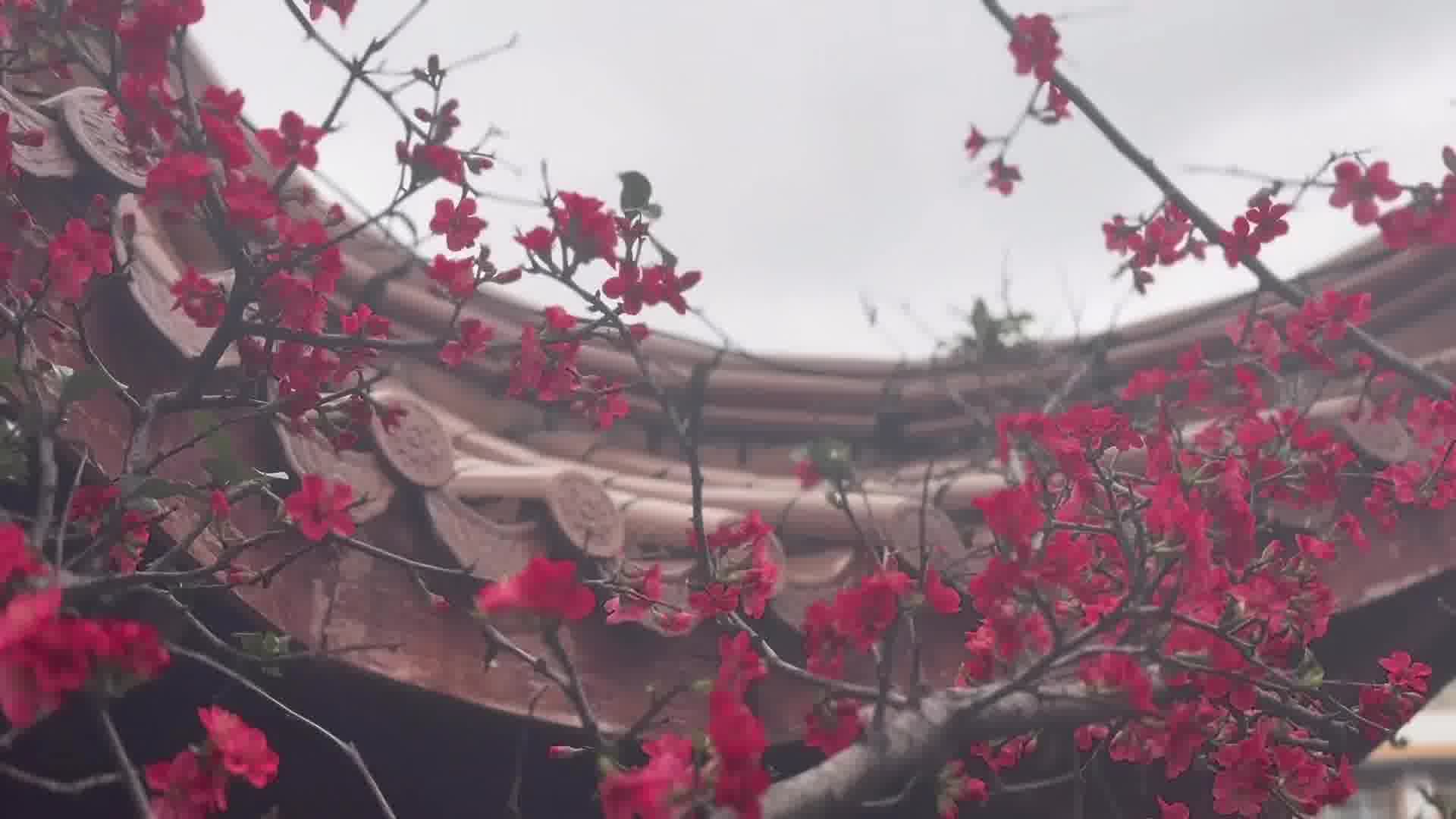 忽而春风为所有美好的开始