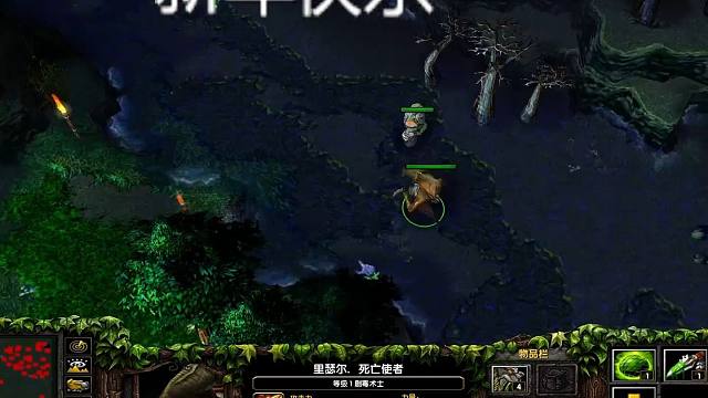 你们打dota碰到过这种畜生队友吗