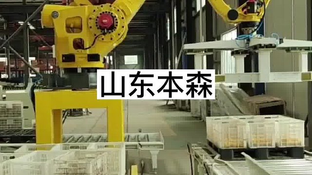 水果塑料筐装机器人 搬运码垛机生产定制