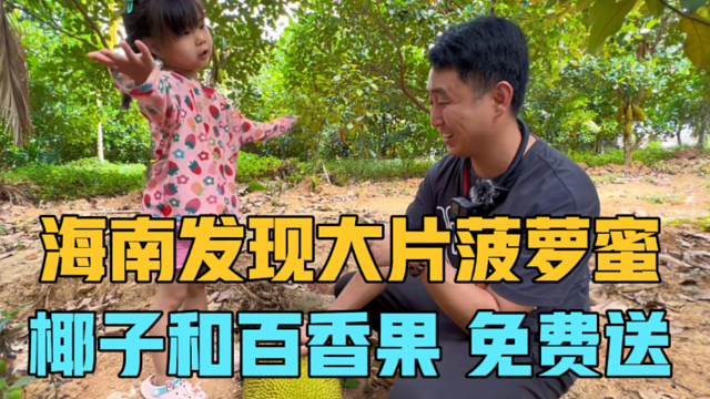 在海南发现大片菠萝蜜，30斤只要50元，百香果和椰子不要钱