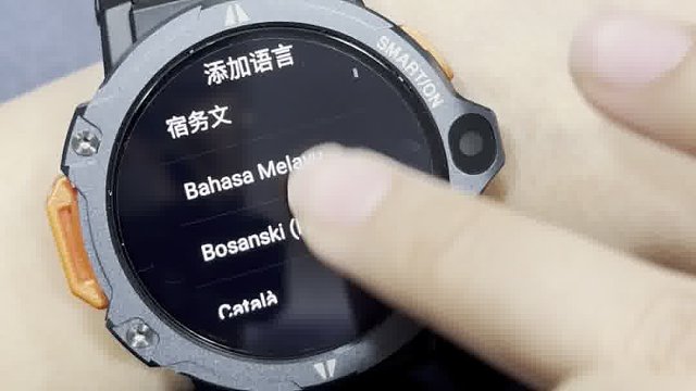 APPLLP 6 pro设置语言24秒