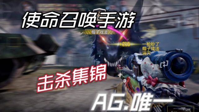 CODM职业选手 击 杀 集 锦