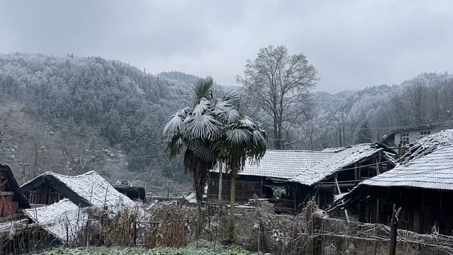 下雪了，房子都快撑不住了