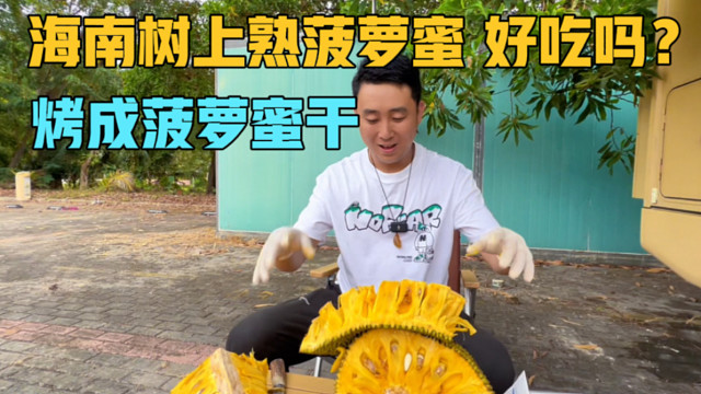 在海南树上熟菠萝蜜，能好吃吗？一家三口吃不完直接烤成菠萝蜜干