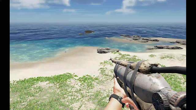 荒岛求生之猎杀野猪