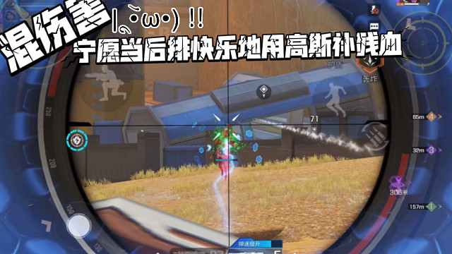 高能英雄 团战哪怕玩重装盾卫我也没勇气往前顶，宁愿当后排快乐地用高斯补残血