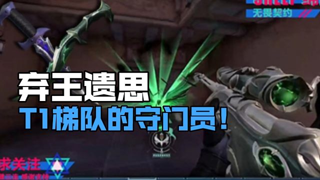 弃王遗思！t1的守门员！尴尬的定位（补档）