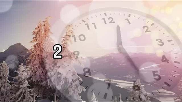 刺猬不是谁都能养的