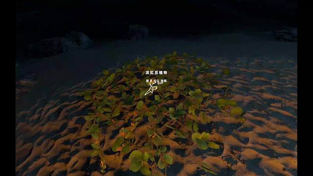 荒岛求生之探索北方海岛