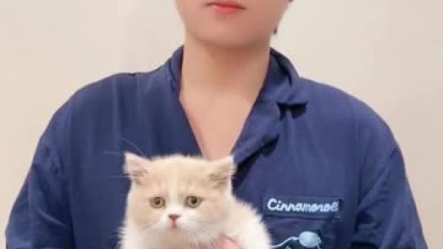 AI你是懂绘画的