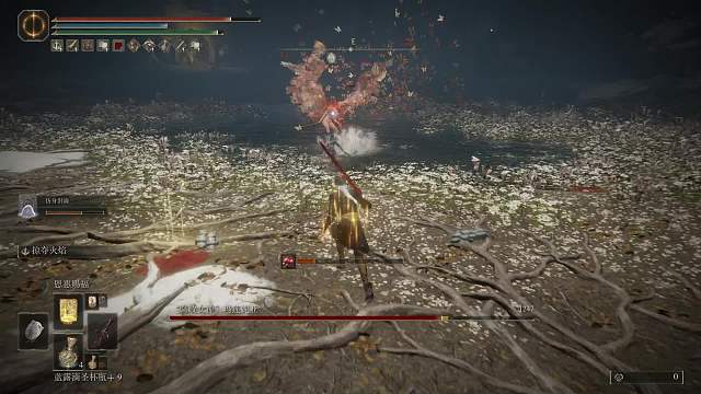 vs 女武神 （卑鄙的我三）