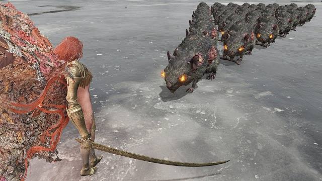 法环：BOSS们能扑灭几排大老鼠？