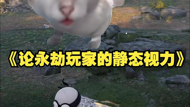 论永劫玩家的静态视力！笑死我了！