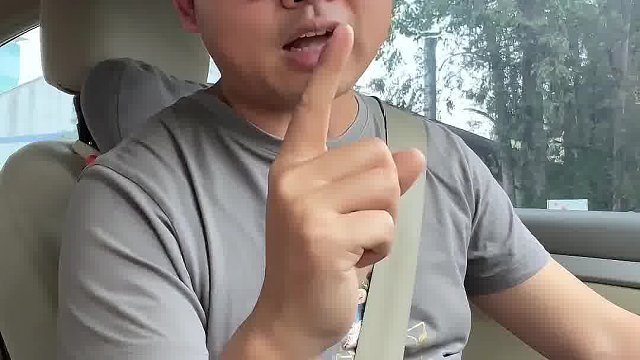 在高速行驶中，突然冲出来之前动物, 该怎么办？