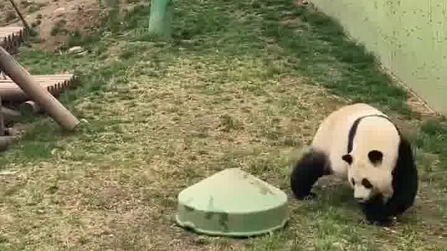 不救就算了，还落井下石