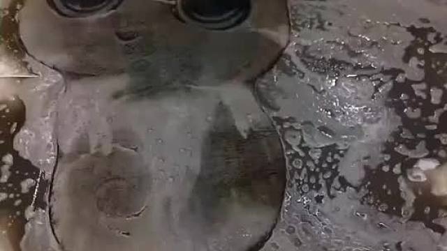 垫子30，清理费300