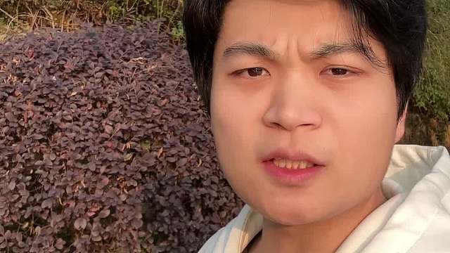 零跑也上桌了，小米还扛的住吗？