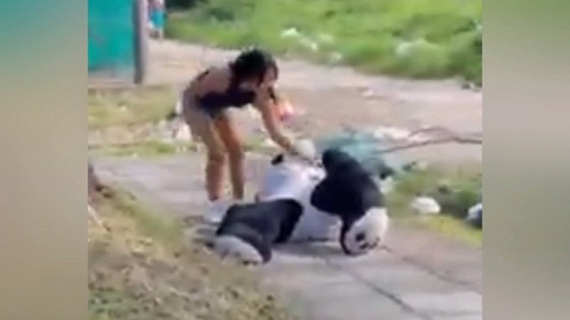 老外朋友们奇葩瞬间