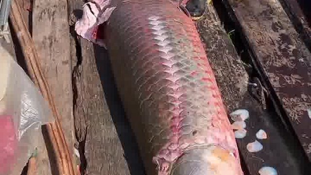 做一套铠甲，刀砍都不怕